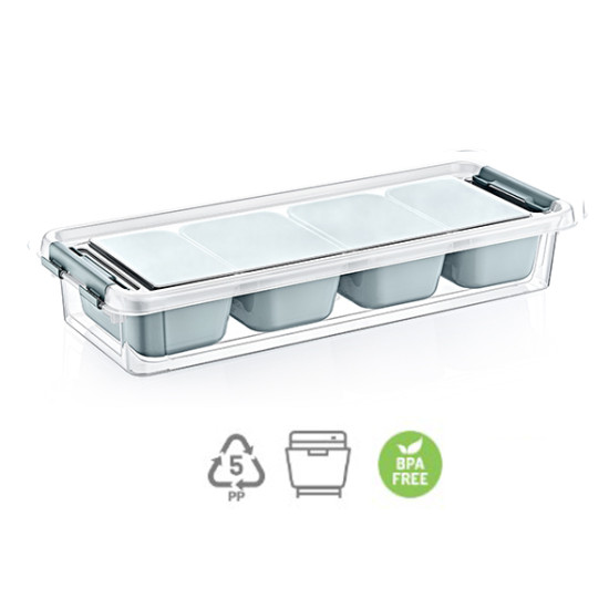Pojemnik ORGANIZER BOX 2,5l +4 WKŁADY *6880